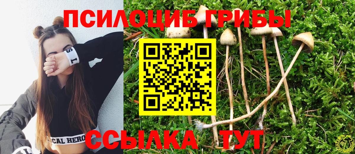 Галлюциногенные грибы GOLDEN TEACHER  Вход с VPN  Южноуральск 